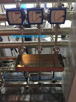 Петлевая система распределения очищенной воды WFI